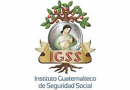 logotipo del Instituto Guatemalteco de Seguridad Social, Una madre con su bebé abajo de un arbol con las letras IGSS