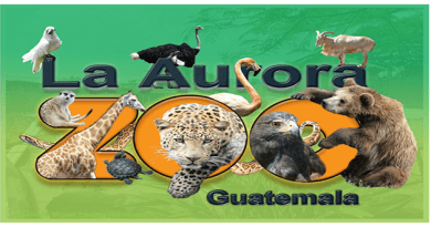 logo del zoológico la Aurora con varios animales