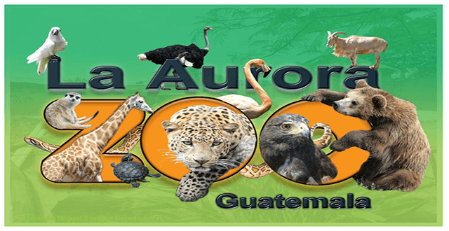 logo del zoológico la Aurora con varios animales
