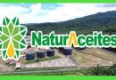 Logo de NaturAceites empresa de palma africana.