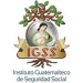 logotipo del Instituto Guatemalteco de Seguridad Social, Una madre con su bebé abajo de un arbol con las letras IGSS