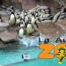 pinguinos del zoológico la aurora en Guatemala, es una balla publicitaria